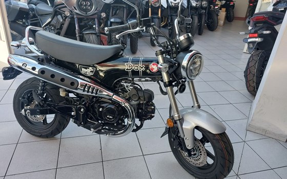Neufahrzeug Honda Dax 125 - Bild 1