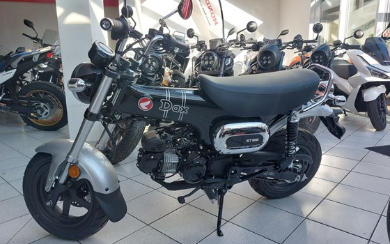 Neufahrzeug Honda Dax 125 - Bild 2