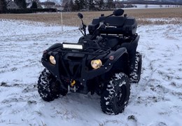 Gebrauchte Yamaha Grizzly 700 EPS