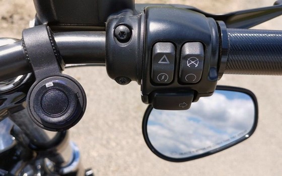 Gebrauchtmotorrad Harley-Davidson Sportster XL 1200X Forty-Eight - Bild 9