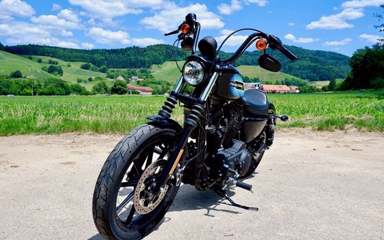 Gebrauchtmotorrad Harley-Davidson Sportster XL 1200NS Iron - Bild 1