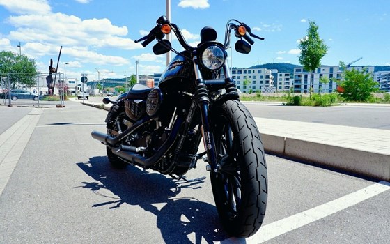 Gebrauchtmotorrad Harley-Davidson Sportster XL 1200NS Iron - Bild 3