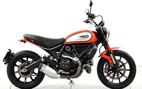 Motorrad Occasion Ducati Scrambler Icon - Bild 4