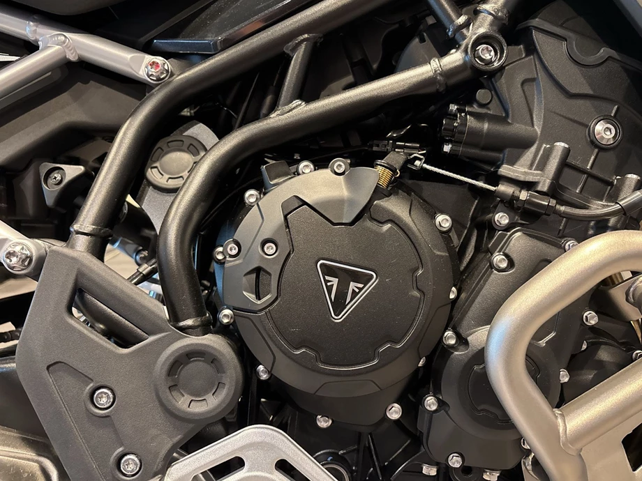Offer Triumph Tiger 900 Rally Pro Bild 6: Offer Triumph Tiger 900 Rally Pro