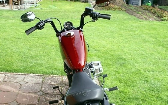Gebrauchtmotorrad Harley-Davidson Sportster XL 1200XS Forty-Eight Special - Bild 7
