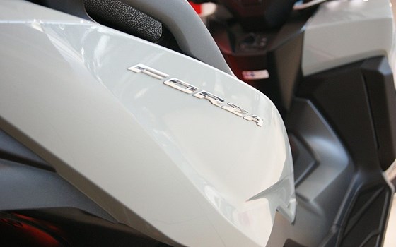Neufahrzeug Honda Forza 125 - Bild 4 Neufahrzeug Honda Forza 125 - Bild 4
