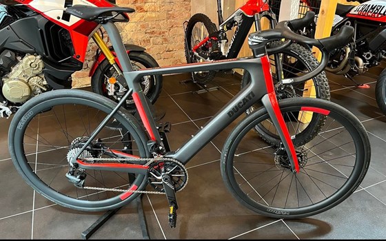 Neufahrzeug Ducati Futa - Bild 1