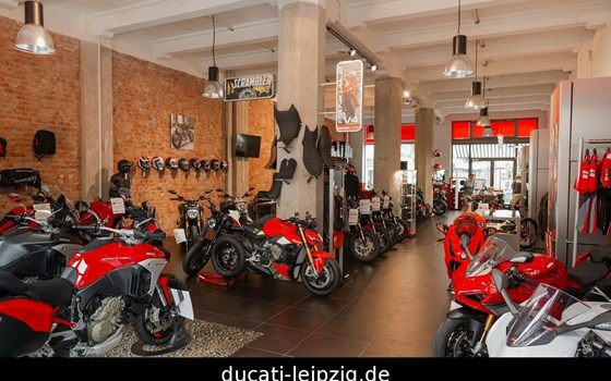 Neufahrzeug Ducati Futa - Bild 10