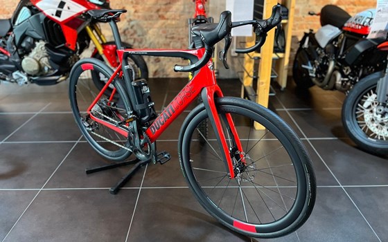 Neufahrzeug Ducati Futa LIMITED - Bild 1