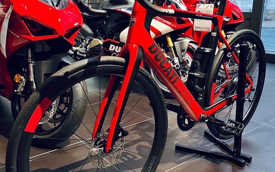 Neufahrzeug Ducati Futa LIMITED - Bild 2