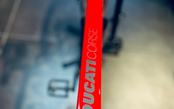 Neufahrzeug Ducati Futa LIMITED - Bild 4