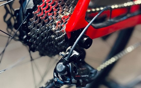 Neufahrzeug Ducati Futa LIMITED - Bild 6