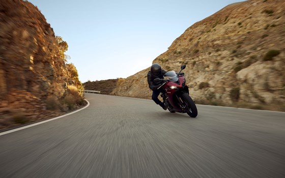 Neufahrzeug Triumph Daytona 660 - Bild 6