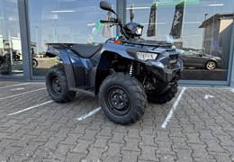 Neumotorrad Kawasaki Brute Force 450