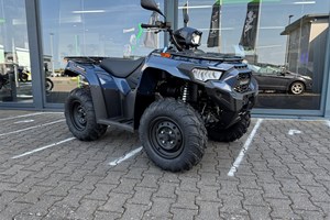 Angebot Kawasaki Brute Force 450