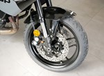 Angebot Yamaha XSR900 GP