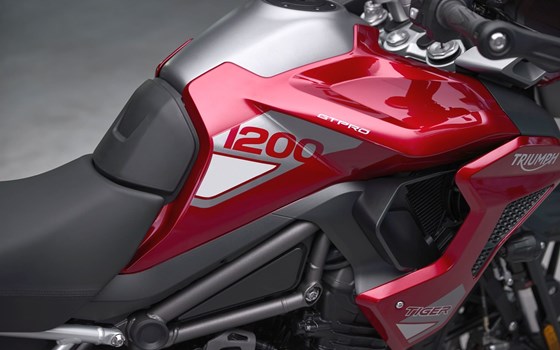 Neufahrzeug Triumph Tiger 1200 GT PRO - Bild 6