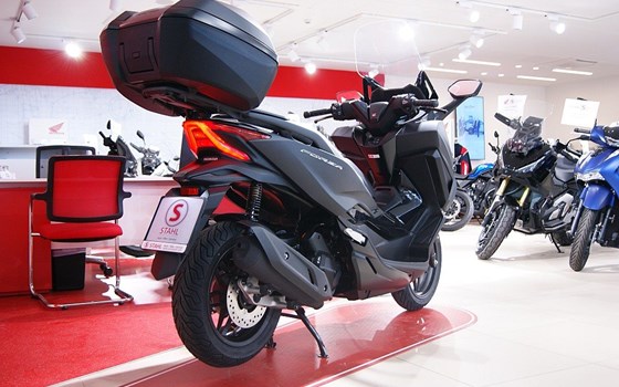 Neufahrzeug Honda Forza 125 - Bild 3 Neufahrzeug Honda Forza 125 - Bild 3