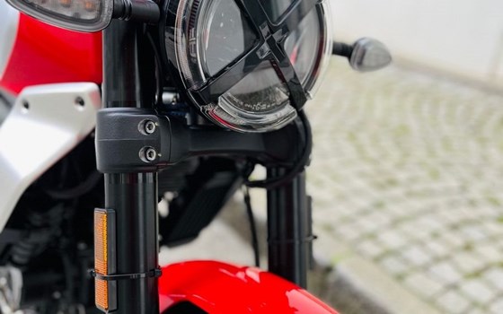 Neufahrzeug Ducati Scrambler Icon - Bild 5