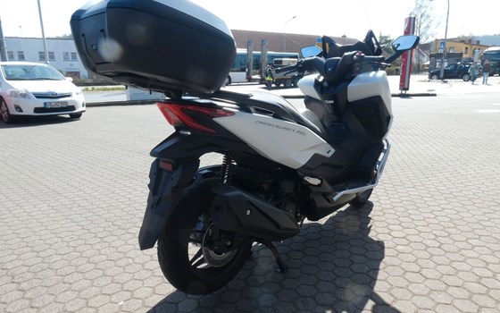 Gebrauchtmotorrad Honda Forza 350 - Bild 6