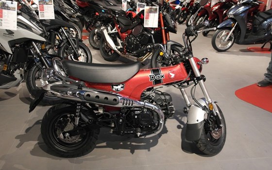 Neufahrzeug Honda Dax 125 - Bild 1