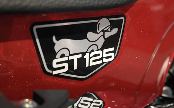 Neufahrzeug Honda Dax 125 - Bild 14