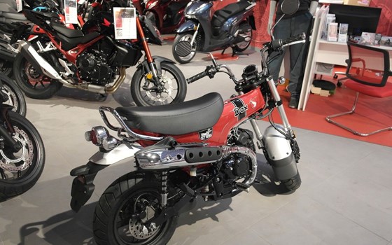 Neufahrzeug Honda Dax 125 - Bild 2