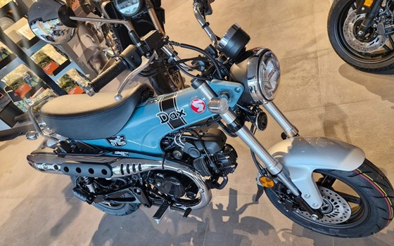 Neufahrzeug Honda Dax 125 - Bild 11