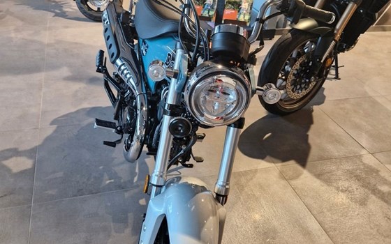 Neufahrzeug Honda Dax 125 - Bild 3