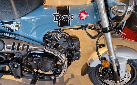 Neufahrzeug Honda Dax 125 - Bild 4
