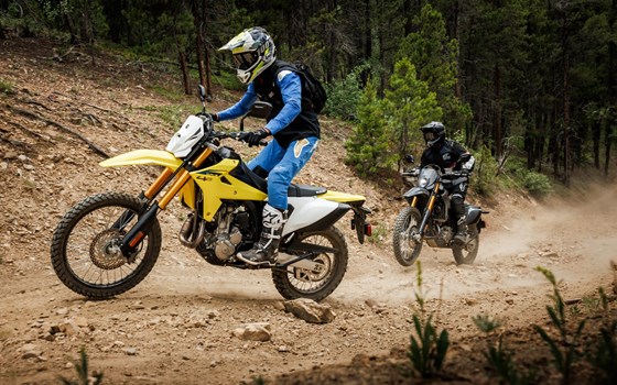 Neufahrzeug Suzuki DR-Z 400 S - Bild 9 Neufahrzeug Suzuki DR-Z 400 S - Bild 9
