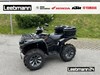Yamaha Grizzly 700 EPS Alu