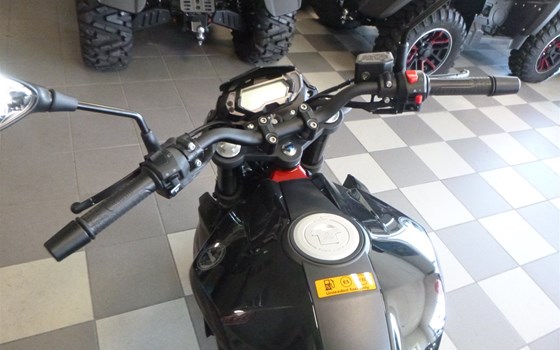 Neufahrzeug Benelli BN 125 - Bild 10