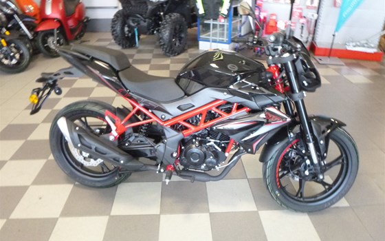 Neufahrzeug Benelli BN 125 - Bild 3