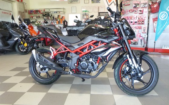 Neufahrzeug Benelli BN 125 - Bild 1