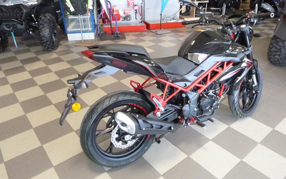 Neufahrzeug Benelli BN 125 - Bild 4