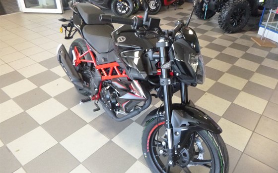 Neufahrzeug Benelli BN 125 - Bild 6