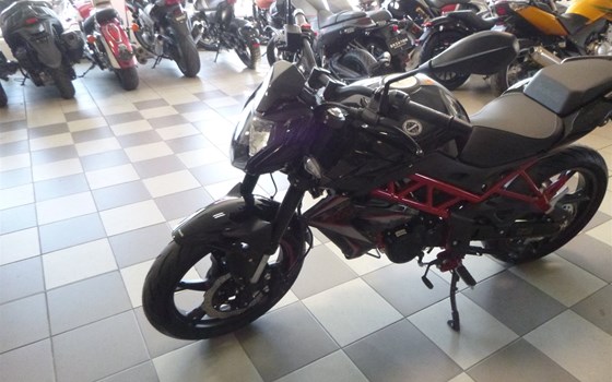 Neufahrzeug Benelli BN 125 - Bild 7