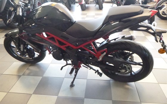 Neufahrzeug Benelli BN 125 - Bild 8