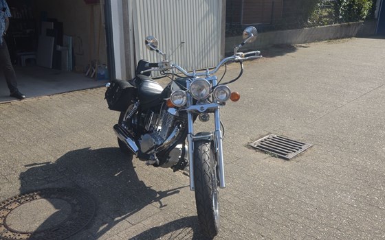 Gebrauchtmotorrad Suzuki LS 650 - Bild 3