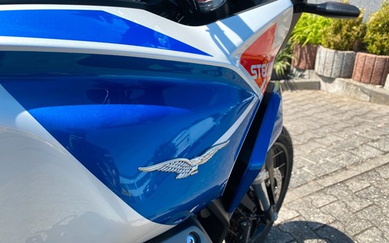 Neufahrzeug Moto Guzzi Stelvio Duecento Tributo - Bild 12