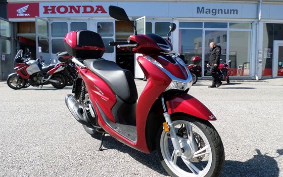 Gebrauchtmotorrad Honda SH150i - Bild 1 Gebrauchtmotorrad Honda SH150i - Bild 1