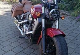 Occasion Indian Scout