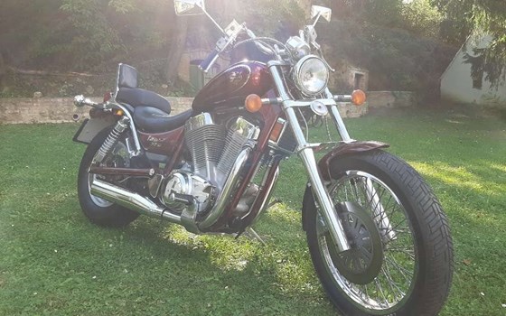 Gebrauchtmotorrad Suzuki VS 1400 GLP Intruder - Bild 4 Gebrauchtmotorrad Suzuki VS 1400 GLP Intruder - Bild 4