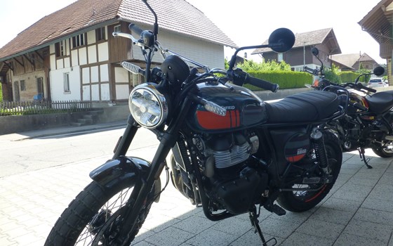 Neufahrzeug Royal Enfield Bear 650 - Bild 5