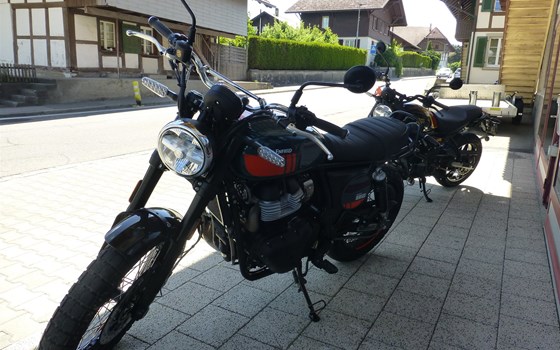 Neufahrzeug Royal Enfield Bear 650 - Bild 4