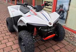 Neumotorrad CFMOTO CFORCE EV110