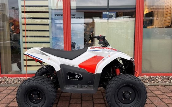 Neufahrzeug CFMOTO CFORCE EV110 - Bild 2