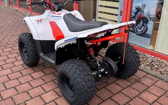 Neufahrzeug CFMOTO CFORCE EV110 - Bild 6
