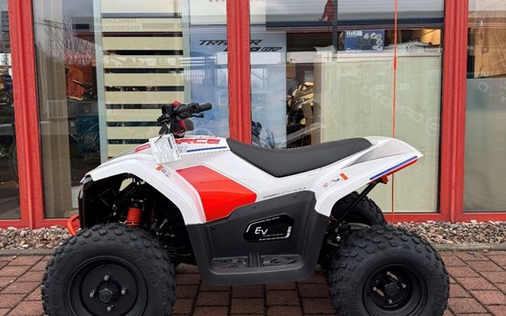 Neufahrzeug CFMOTO CFORCE EV110 - Bild 7